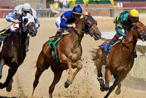 The various types of exciting horseracing bets .